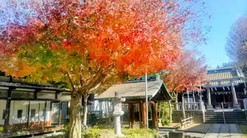 岩淵八雲神社(東京都)
