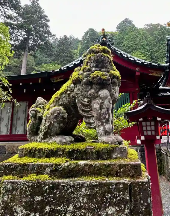 箱根神社(神奈川県)