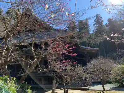 妙本寺(神奈川県)
