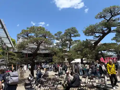 葛井寺(大阪府)