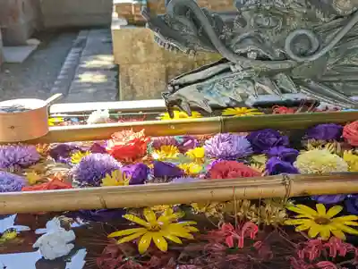 柳谷観音　楊谷寺(京都府)