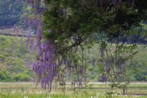 熊野大権現堂の自然