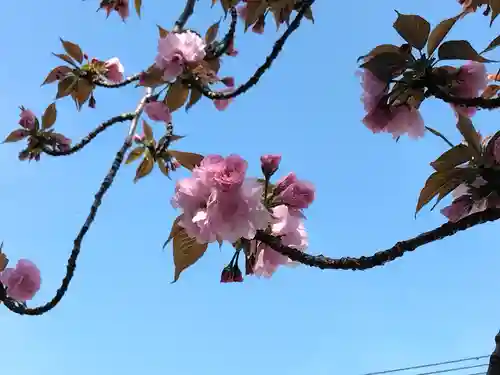 萬福寺(神奈川県)