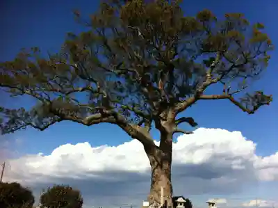 大木神社跡地(三重県)