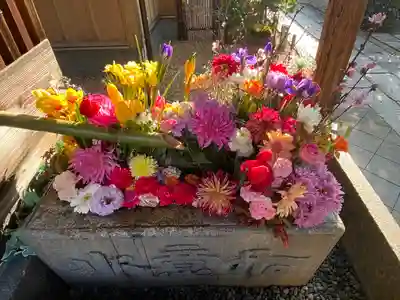 勝林寺(京都府)