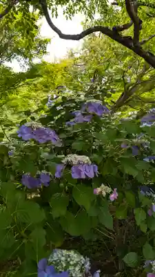 正法寺(京都府)
