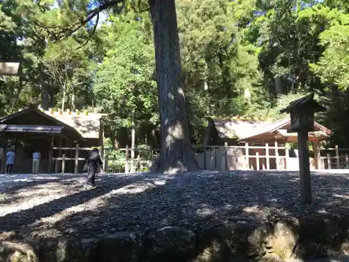 瀧原宮(皇大神宮別宮)の自然