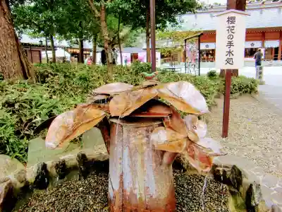 櫻木神社の手水舎