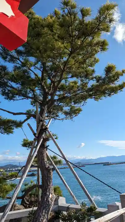 海津見神社(桂浜龍王宮)の自然