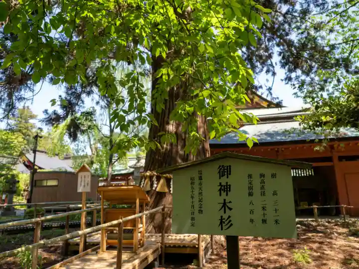志波彦神社・鹽竈神社の{uncategorized: "未分類", other: "その他", undefined: "問題あり", building: "その他建物", grave: "お墓", sacred_gate: "鳥居", guardian: "狛犬", statue: "像", buddha: "仏像", history: "歴史", nature: "自然", garden: "庭園", animal: "動物", pagoda: "塔", temizu: "手水舎", mountain_gate: "山門・神門", sanctuary: "本殿・本堂", subordinate: "末社・摂社", art: "芸術", scenery: "景色", jizo: "地蔵", ema: "絵馬", goshuin: "御朱印", omikuji: "おみくじ", items: "授与品その他", amulet: "お守り", goshuincho: "御朱印帳", eats: "食事", festival: "お祭り", votive_dance: "神楽", shichigosan: "七五三参", wedding: "結婚式", experience: "体験その他", initially: "初詣", around: "周辺", anti_infection: "感染症対策"}