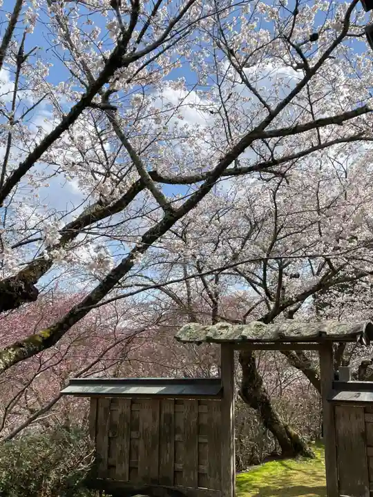 勝持寺(花の寺)(京都府)