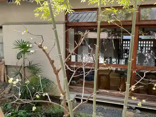 遠照山 光明寺（尼崎大仏）(兵庫県)