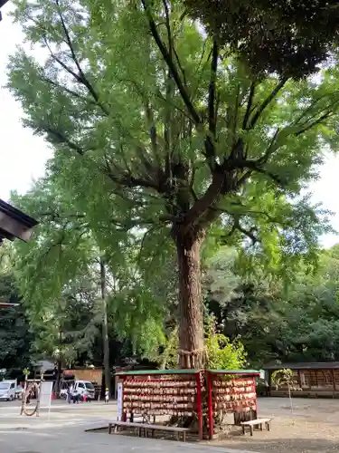 平塚八幡宮(神奈川県)