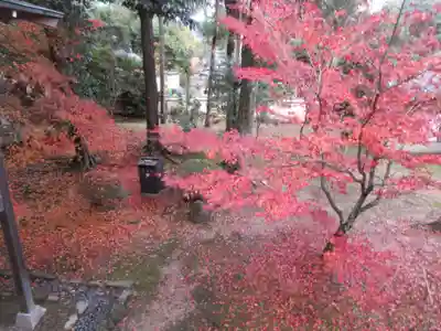 大覚寺(京都府)