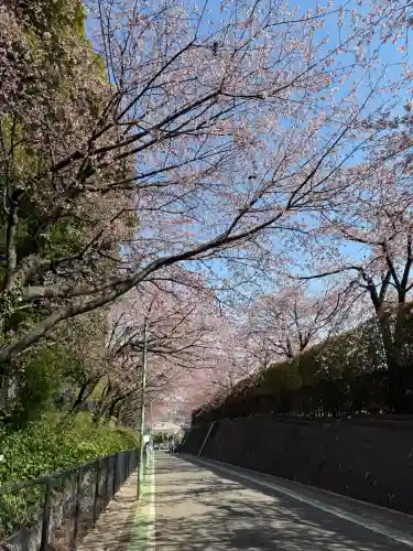 密藏院の{uncategorized: "未分類", other: "その他", undefined: "問題あり", building: "その他建物", grave: "お墓", sacred_gate: "鳥居", guardian: "狛犬", statue: "像", buddha: "仏像", history: "歴史", nature: "自然", garden: "庭園", animal: "動物", pagoda: "塔", temizu: "手水舎", mountain_gate: "山門・神門", sanctuary: "本殿・本堂", subordinate: "末社・摂社", art: "芸術", scenery: "景色", jizo: "地蔵", ema: "絵馬", goshuin: "御朱印", omikuji: "おみくじ", items: "授与品その他", amulet: "お守り", goshuincho: "御朱印帳", eats: "食事", festival: "お祭り", votive_dance: "神楽", shichigosan: "七五三参", wedding: "結婚式", experience: "体験その他", initially: "初詣", around: "周辺", anti_infection: "感染症対策"}