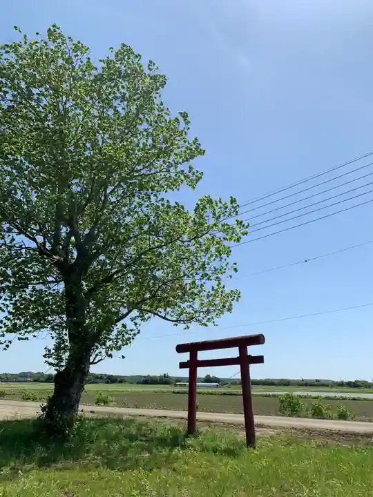 稲荷神社(千葉県)