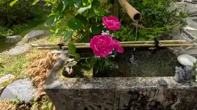 宝蔵寺(京都府)