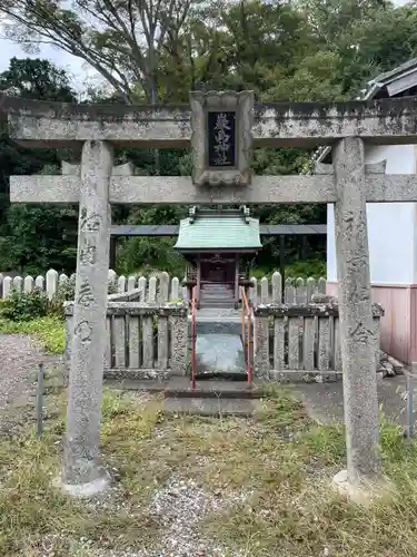 津田八幡神社(徳島県)