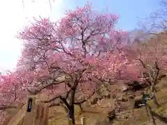 筑波山神社(茨城県)