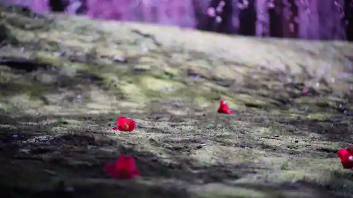 城南宮(京都府)