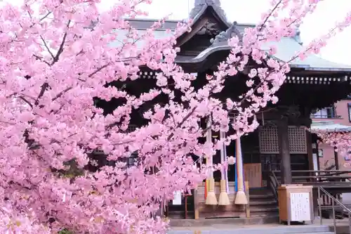 桜神宮のその他建物