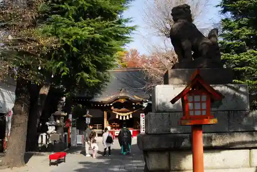 草加神社の狛犬