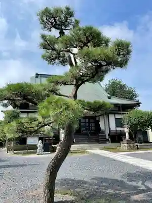 見性寺(栃木県)