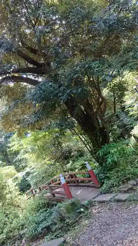 赤坂氷川神社のその他建物