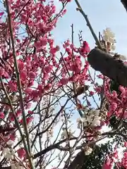 曽根天満宮の自然