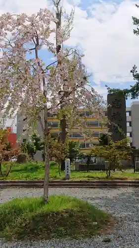 空知神社の庭園