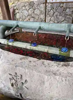 岡寺(龍蓋寺)(奈良県)