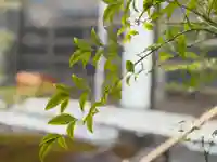 西方山極楽寺(岐阜県)