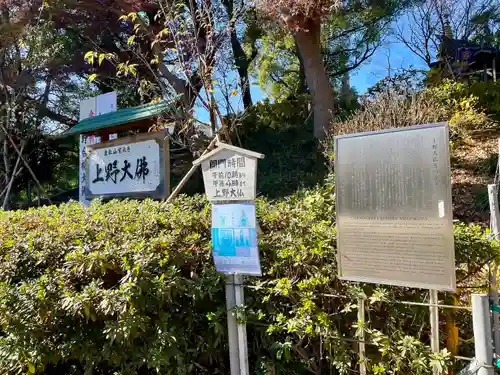 上野大佛(東京都)