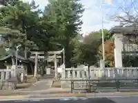 柴又八幡神社(東京都)