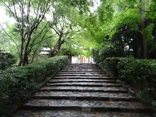 龍安寺(京都府)