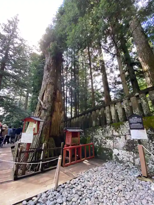 日光東照宮奥宮拝殿(栃木県)