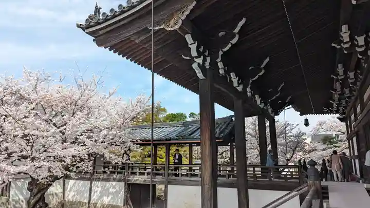 妙顯寺(妙顕寺)(京都府)