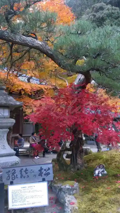 南禅寺の庭園