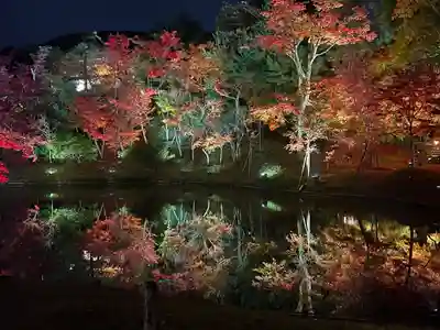 高台寺（高台寿聖禅寺・高臺寺）(京都府)