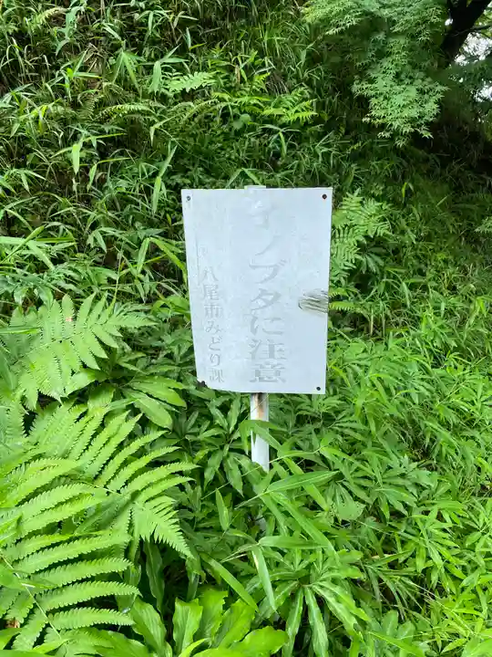 水呑地蔵院の周辺