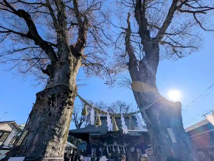 熊野宮(東京都)