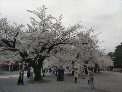 三嶋大社(静岡県)