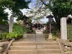 大善院(東京都)