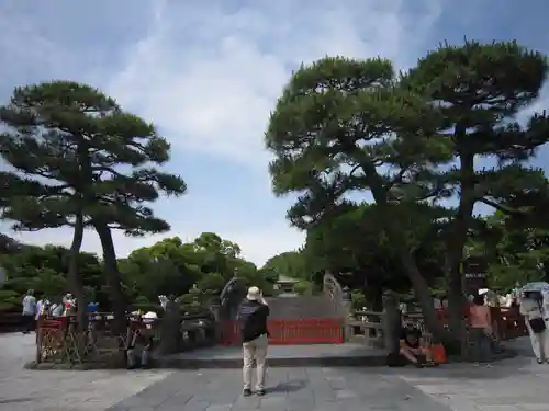 鶴岡八幡宮の庭園