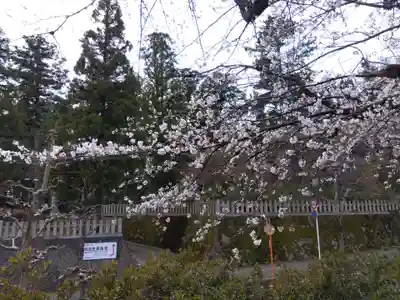 神明社(福井県)