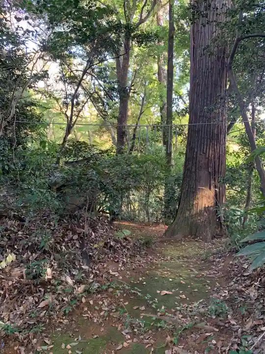 熊野神社(千葉県)