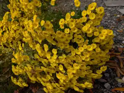 阿久津「田村神社」（郡山市阿久津町）旧社名：伊豆箱根三嶋三社(福島県)