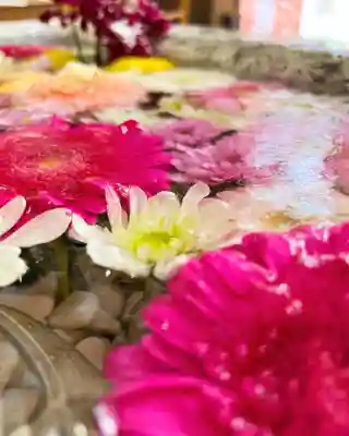 札幌諏訪神社の手水舎