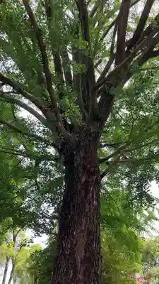 田無神社(東京都)