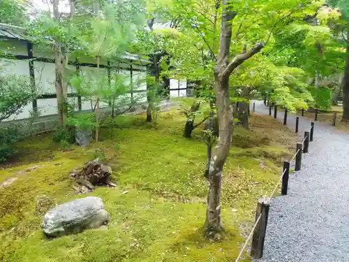 清凉寺(京都府)